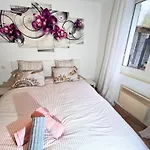 Cocon Equipe Avec Jardin Au Centre-ville * Saint-Gaudens