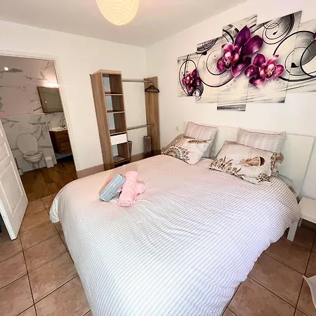 Cocon Equipe Avec Jardin Au Centre-ville * Saint-Gaudens (Haute-Garonne)