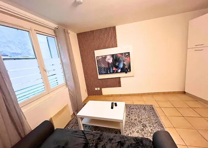 Cocon Equipe Avec Jardin Au Centre-ville Saint-Gaudens (Haute-Garonne)