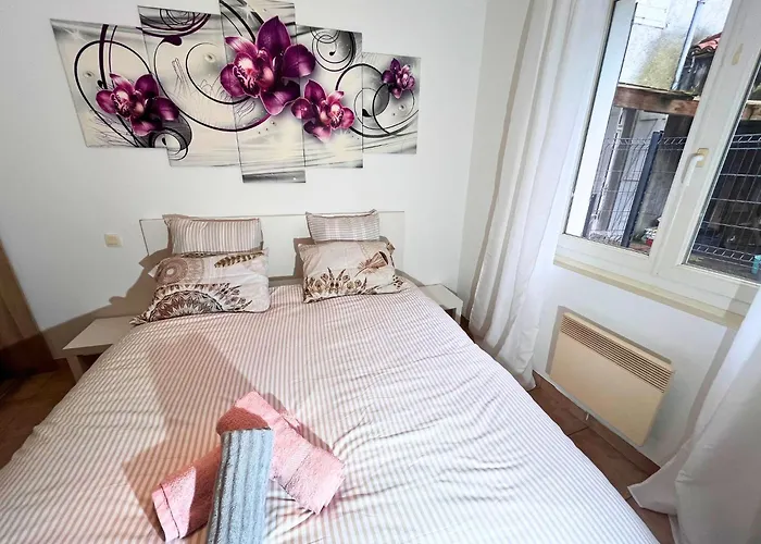 Cocon Equipe Avec Jardin Au Centre-ville * Saint-Gaudens (Haute-Garonne)